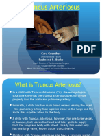 Repair of Truncus Arteriosus