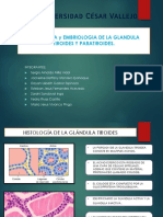 Histologis y Embriologia de G.T y G.PT