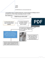 Informe 5 INMUNOAGLUTINACIÓN