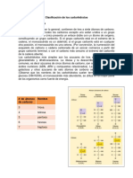 Clasificación de Los Carbohidratos