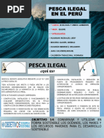 Pesca Ilegal en El Perú