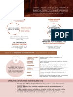 Majes Acufero PDF