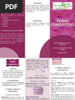 Tejido Conjuntivo