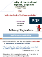 Molecular Basis of SI