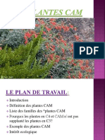 Exposi Plantes Cam