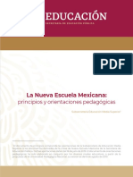 NEM Principios y Orientacioín Pedagoígica PDF