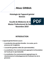 Histologie de L'appareil Génital Masculin