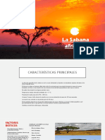 Ecosistema de La Sabana Africana