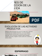 Sectores de Produccion de La Región Ica