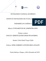 Ensayo Gerente de Recursos Financieros