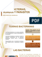 Virus, Bacterias, Hongos y Parasitos