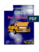 Manual de Post Conversion GNV