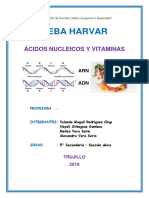 Acidos Nucleicos y Vitaminas