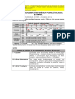 Cuadro de Adquisición Fonética-Fonológica Del Español