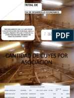 Diapositivas Del Proyecto Cuyes