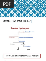 Metabolisme Asam Nukleat