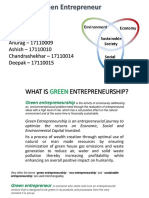 Green Entrepreneur