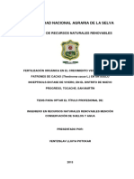 Tesis PDF