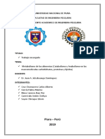 Metabolismo de Los Alimentos