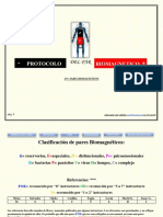 Protocolo Biomagnetismo