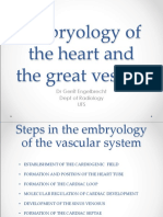 Embryology of The Heart and The Great Vessels