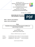 Memoire Master - Production Du Gaz de Synthese