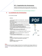 Chapitre 2 SVT L'organisation Des Chromosomes