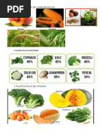 5 Plantas Ricas en Carbohidratos