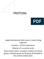 Protein-Amino Acids