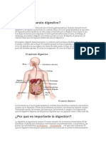 El Aparato Digestivo