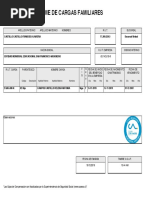 Informe de Cargas Familiares PDF