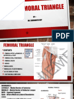 Femoral Triangle