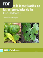 Inta - Guia Identificacion de Las Enfermedades de Las Cucurbitaceas PDF