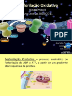 Fosforilação Oxidativa