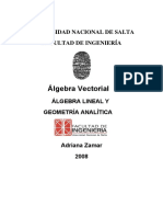 Álgebra Vectorial 2008