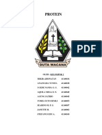 Biokimia Protein Kelompok 2.2