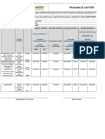 Formato Programa de Auditoria