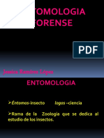 Entomologia Forense