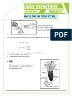 Organología Vegetal para Quinto de Secundaria