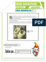 Phylum Poríferos y Phylum Cnidarios para Quinto de Secundaria