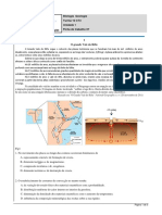 7-Biologia e Geologia - Ficha de Trabalho 021920