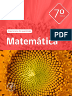 Matematica 7º Básico PDF