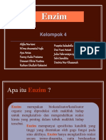 KLMPK 4 ENZIM