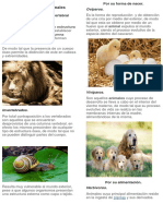 Clasificación de Animales