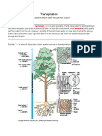 Transpiration POGIL Answer Key