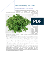 Os 27 Benefícios Da Moringa