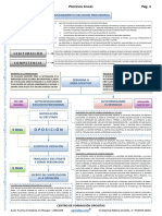 Esq Ejecucion Provisional