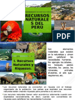 Recursos Naturales