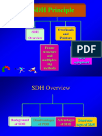 SDH Principle PDF