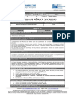 Egpr - 200 - 04 Plantilla de Métrica de Calidad PDF